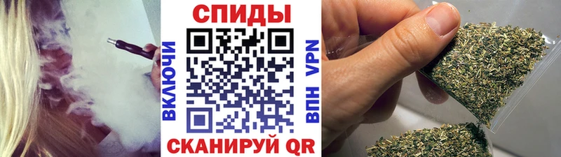OMG как зайти  Новороссийск  Бутират бутандиол 