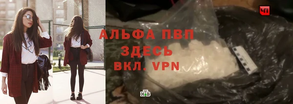 индика Армянск