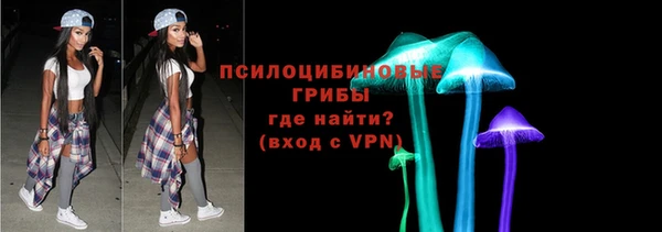 индика Армянск