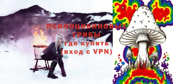 тгк Арсеньев