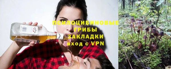 тгк Арсеньев