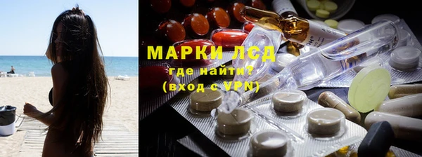 индика Армянск