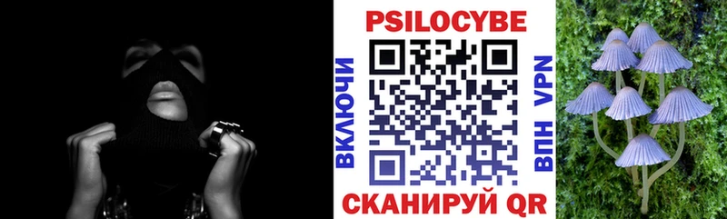 MEGA ТОР  Новороссийск  Псилоцибиновые грибы мицелий 