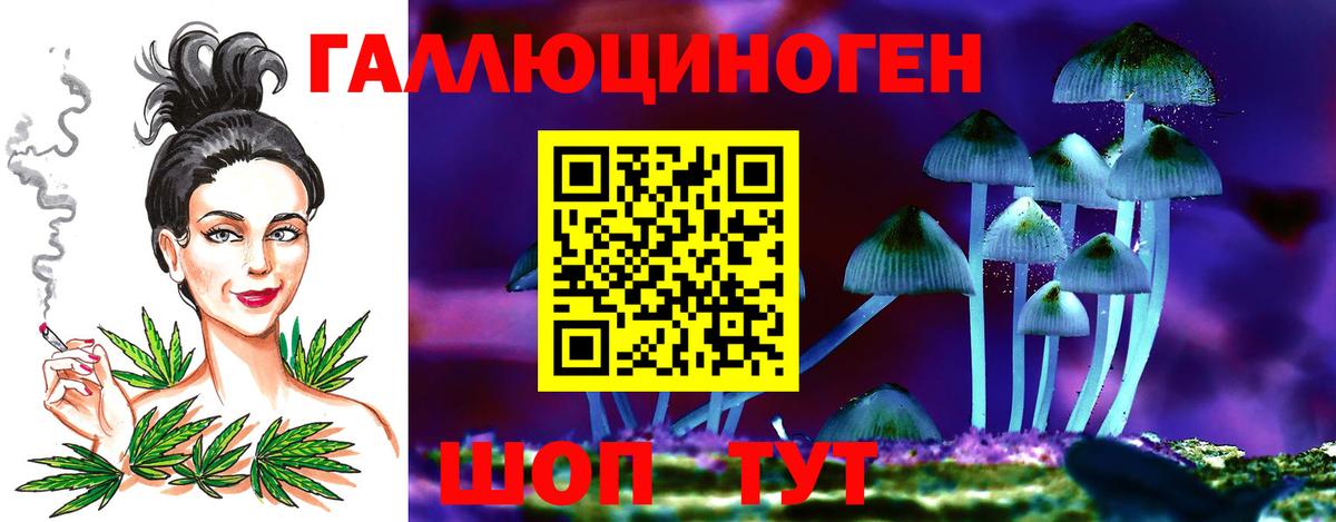 Псилоцибиновые грибы ЛСД  Вход с VPN  Новороссийск 